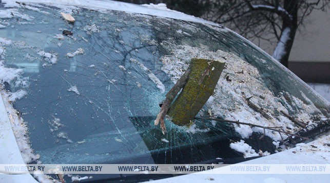 ГАИ призывает водителей не парковаться возле деревьев из-за сильного ветра
