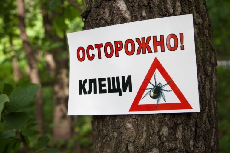 Более 18 тысяч человек обратились за медпомощью из-за укусов клещей
