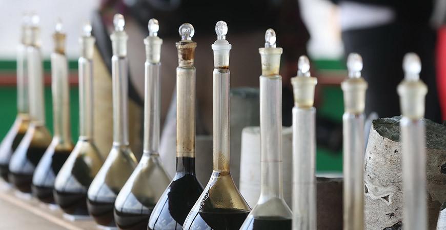 Какой запас нефти хранят белорусские недра и каково ее качество, рассказала эксперт