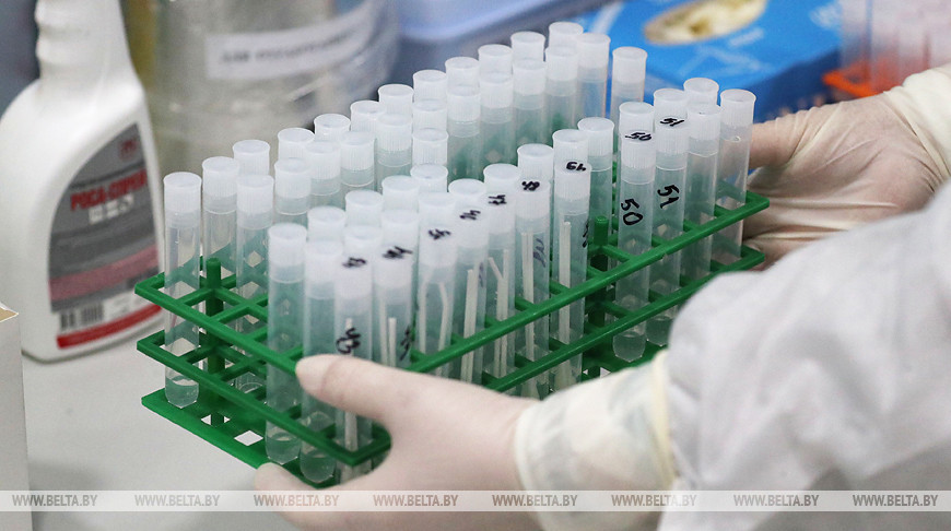 “A lot depends on society now” - Belarusian epidemiologists on the fight against coronavirus