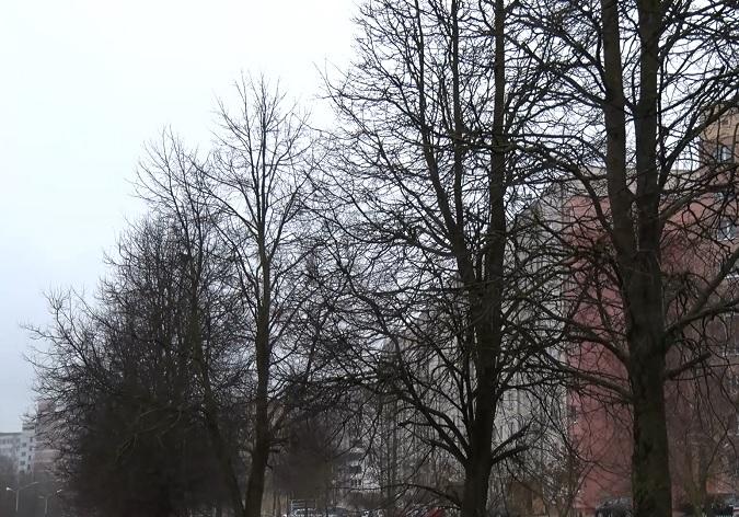 Какая погода ждёт гродненцев в ближайшие дни? 