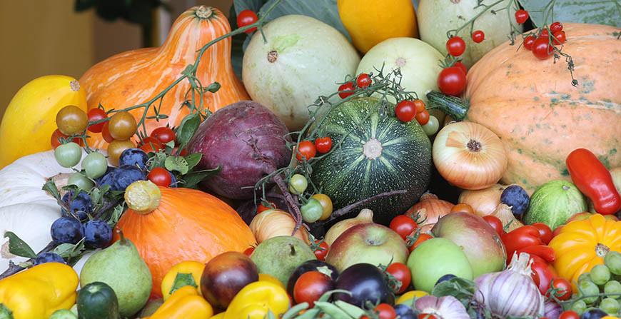 Минсельхозпрод: выращенной продукции будет достаточно для формирования стабфондов