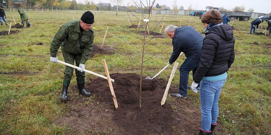 Минздрав дал рекомендации о проведении субботника в условиях СOVID-19
