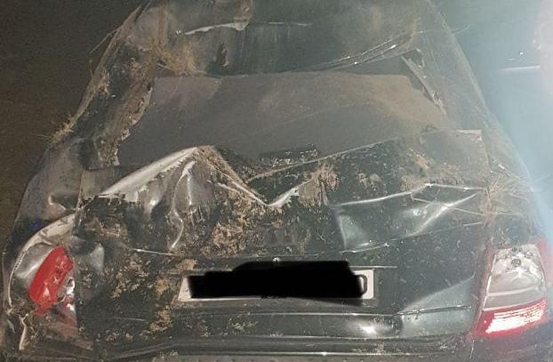 Приняла кусты за пешеходов. В Гродно водитель съехал в кювет