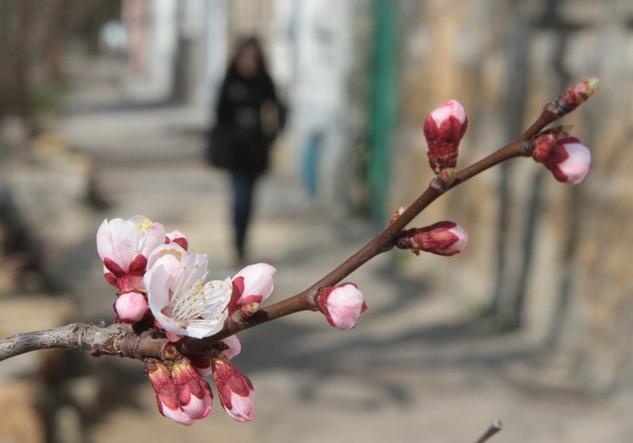 До +13°С ожидается в Беларуси 28 марта