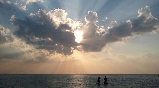 Метеорологи поставили минувшие 11 месяцев в тройку самых теплых