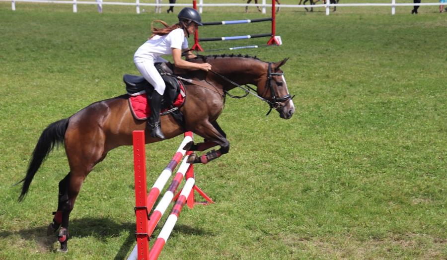 Эх, вы, кони мои, кони! В агрогородке Дворище состоялись областные соревнования по преодолению препятствий