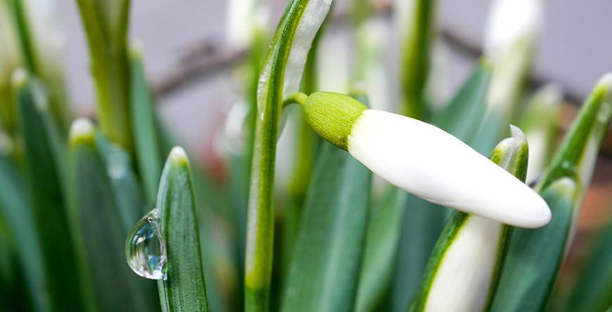 До +20°С, небольшие дожди и туманы. Синоптики о погоде с 11 по 16 апреля