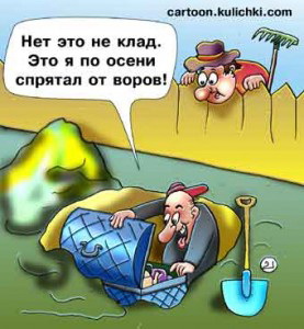 Как не стать жертвой дачных воров и обезопасить свое жилище? 