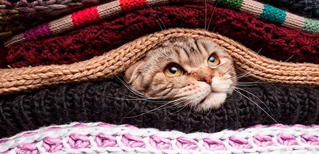 Самые эффективные советы по уходу за шерстяными вещами