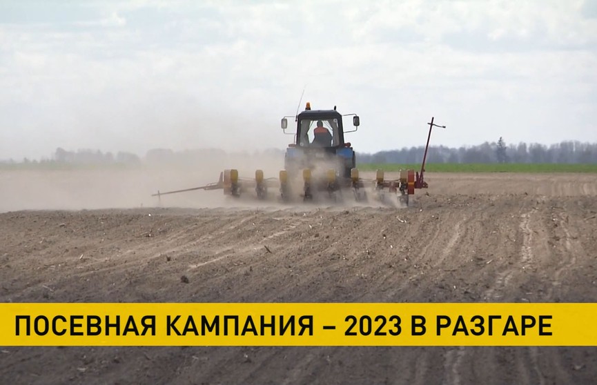 Посевная в Беларуси: кто из регионов в лидерах