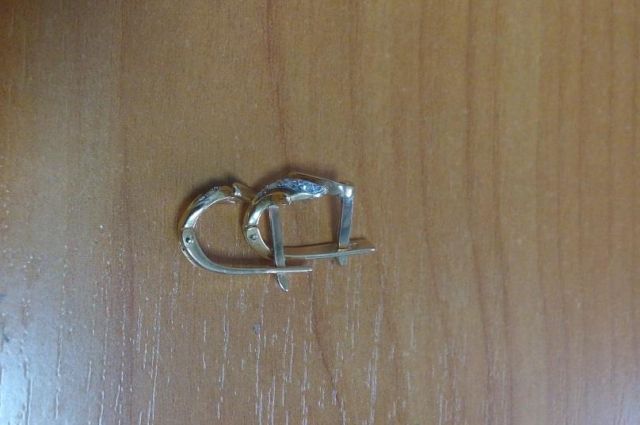 В Гродно девушка украла у своей подруги золотые серьги стоимостью 700 рублей