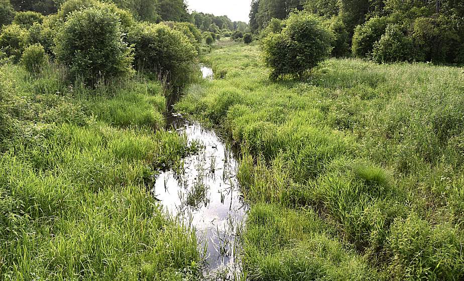 Guide to the corners of nature in the project " Grodno region: a protected world"