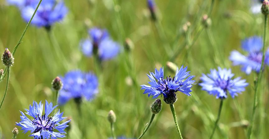 Синоптики объявили оранжевый уровень опасности на 22 июня из-за сильного ветра