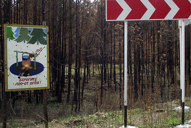 На Гродненщине класс пожарной безопасности понижен, но запрет на посещение леса еще не сняли
