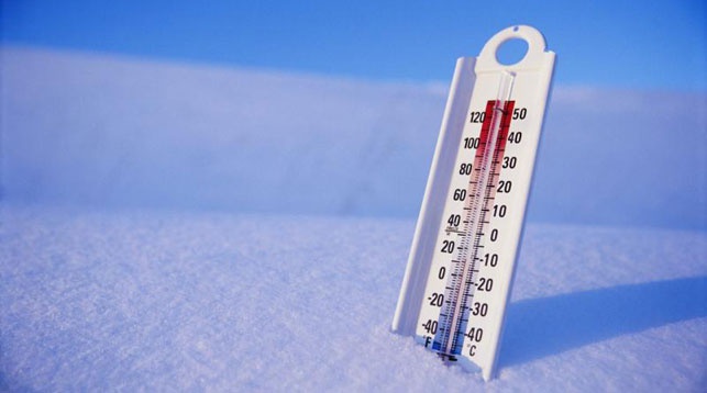 Усиление морозов не представляет опасности для озимых