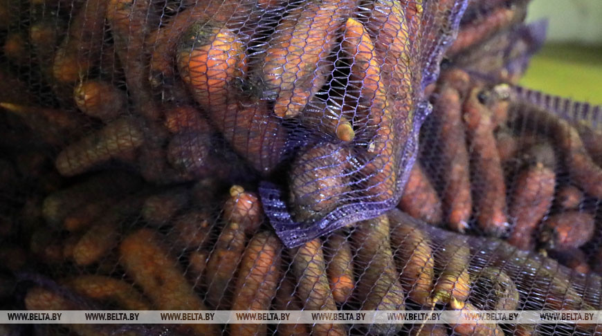 Минсельхозпрод: запасы овощей в хранилищах в 3 раза больше прошлогодних