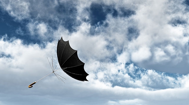 Оранжевый уровень опасности из-за сильного ветра объявлен 19 февраля в Беларуси