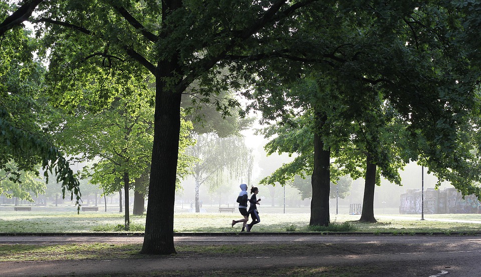 jogging-4211946_960_720.jpg
