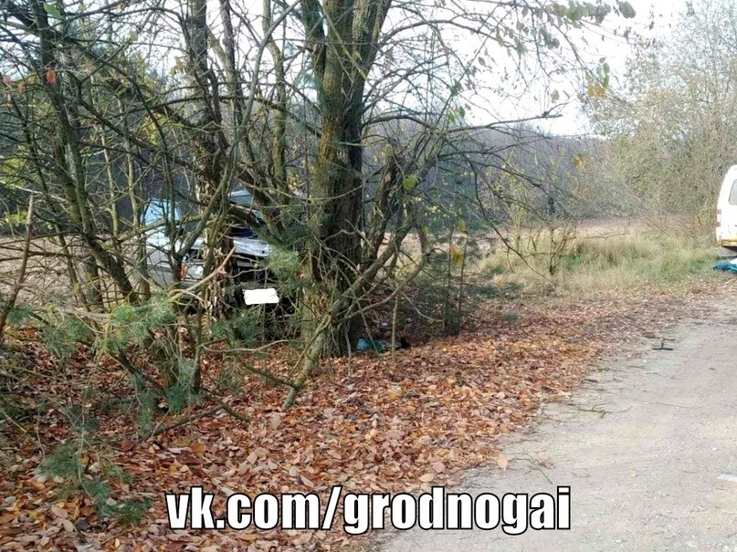 CBAnI_Yv5C8.jpg