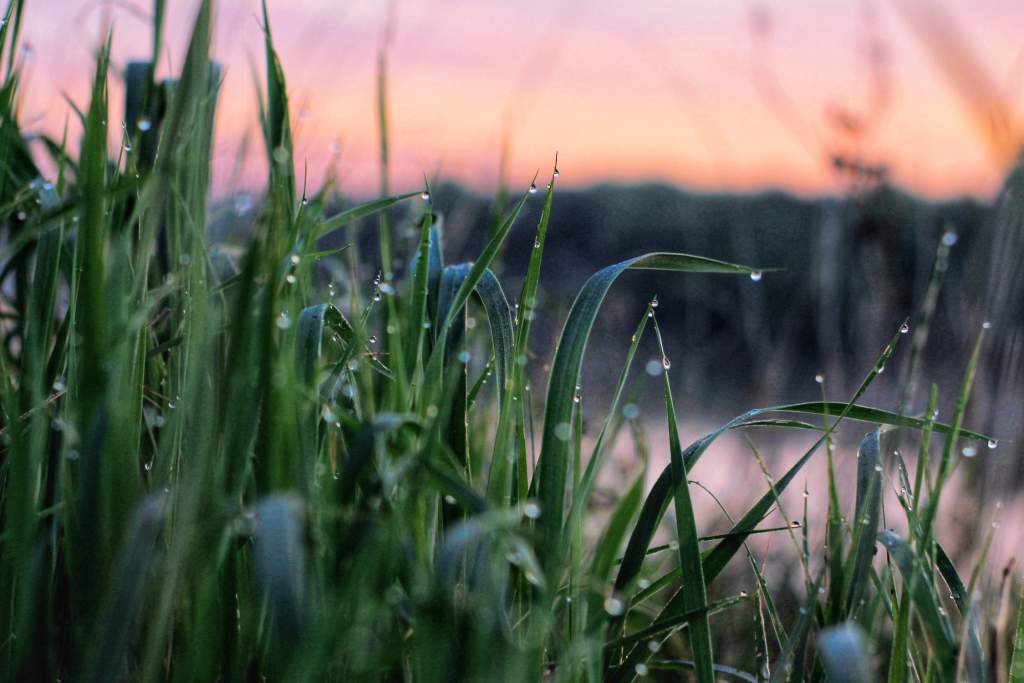 d617a616e83946a18e23bbd4bf6a02d3.max-2500x1500.jpg