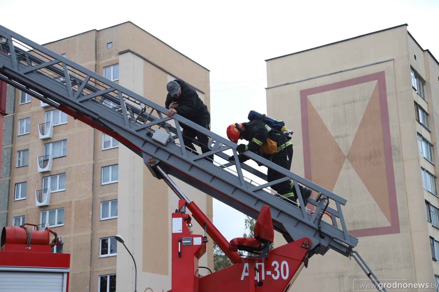 в Гродно