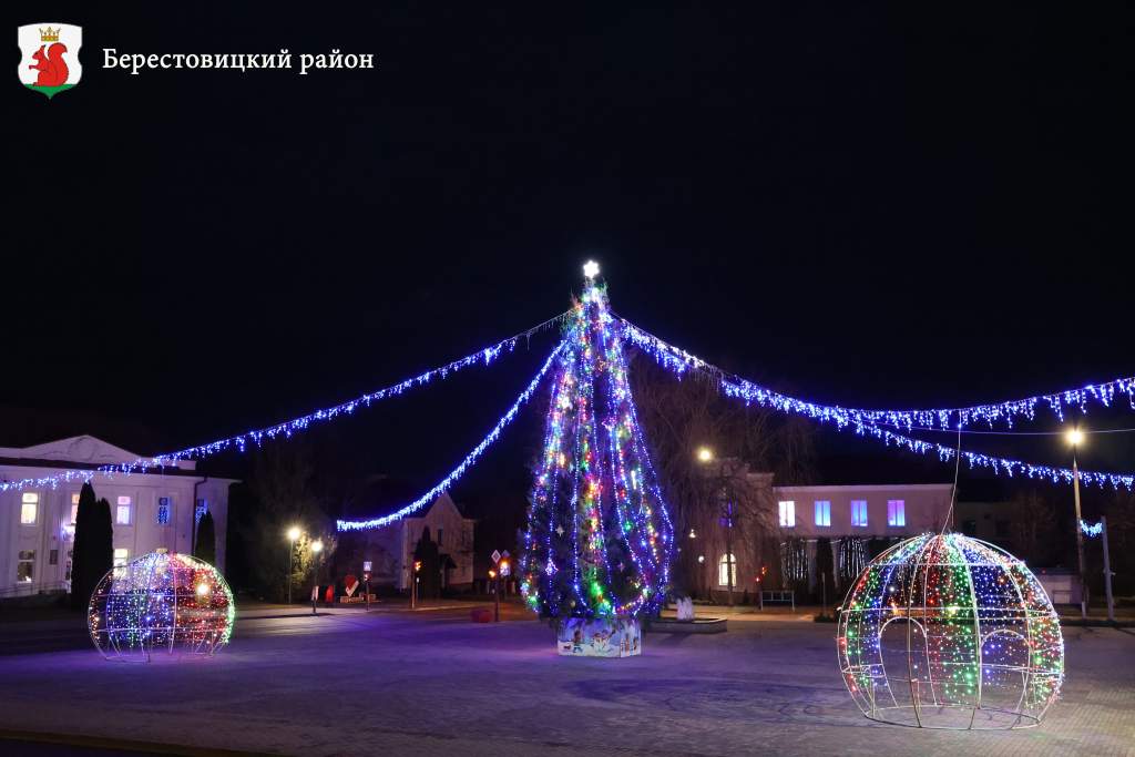 IMG_520¦-4.jpg