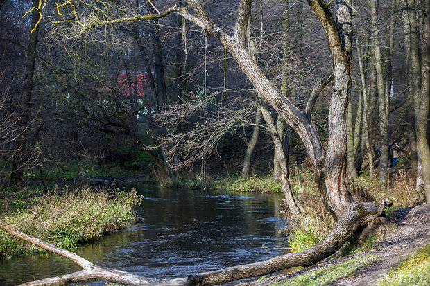 лослсянка 2.jpg