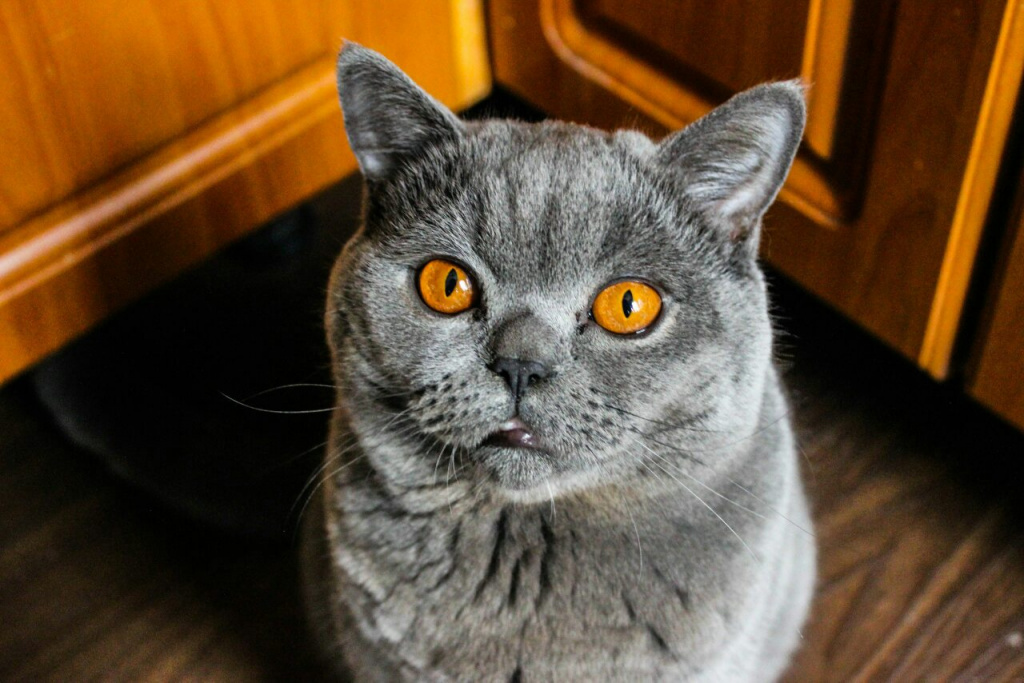 изображение_viber_2019-08-08_13-55-00.jpg