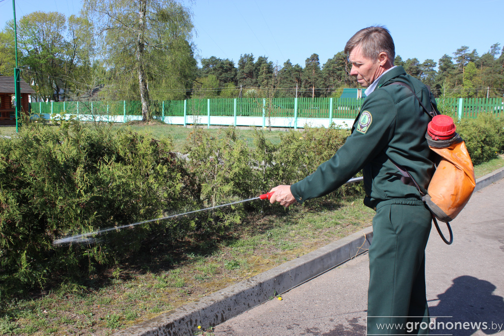 IMG_1842.JPG