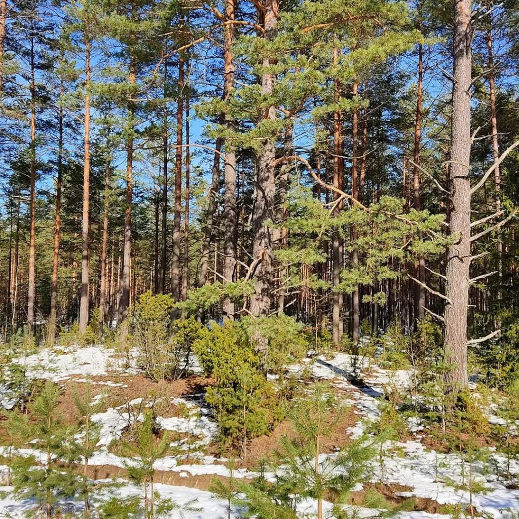 tomakhotjan_154656675_450405303053928_8854899780984691894_n.jpg