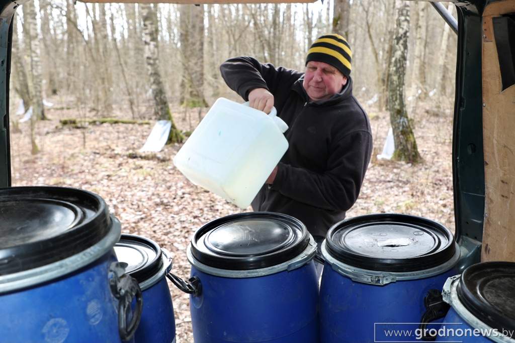 2021-03-29 10.56.17.JPG