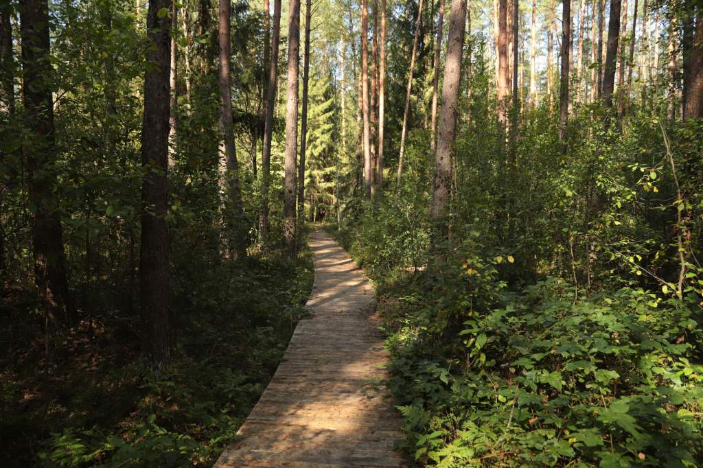 20190829-IMG_4228.jpg