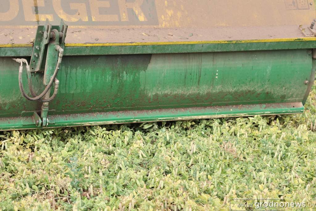 2021-07-13 10.11.13.JPG