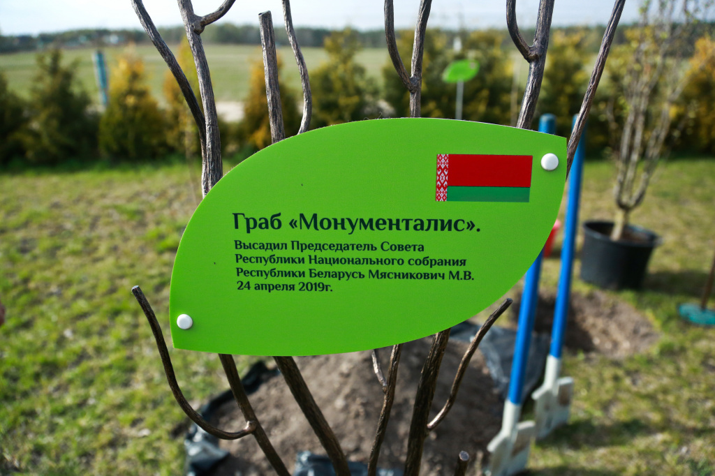 0W1A5690.jpg
