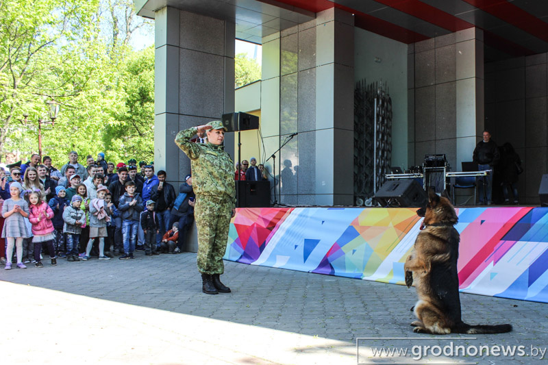 таможня в.jpg