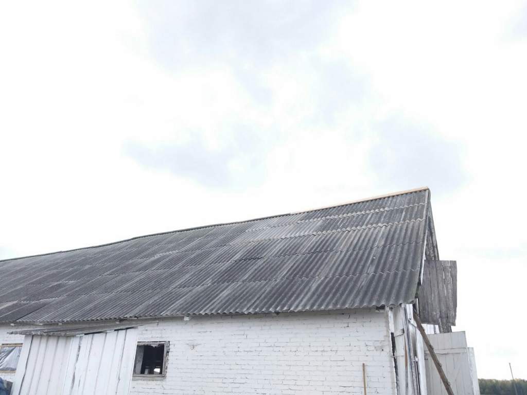 45767.jpg