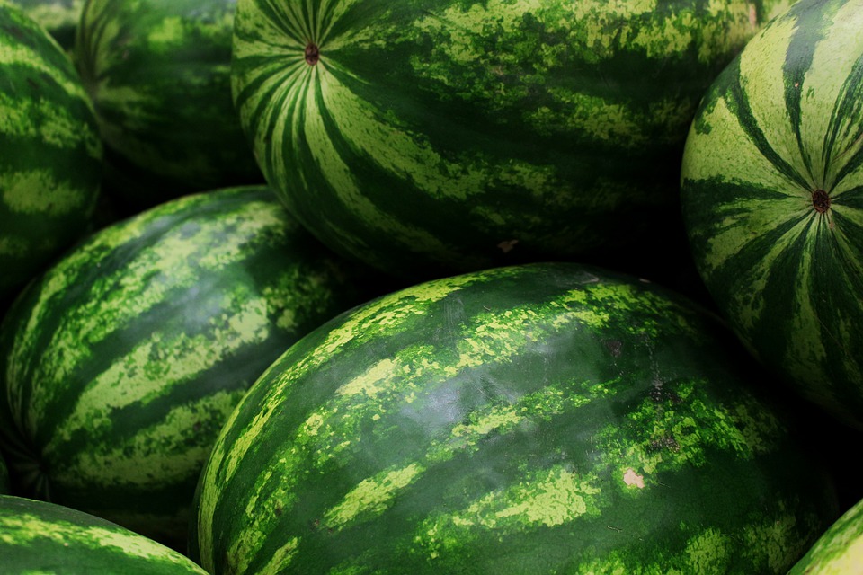 watermelons-5318938_960_720.jpg