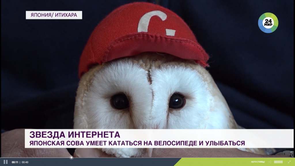 ьььь.png