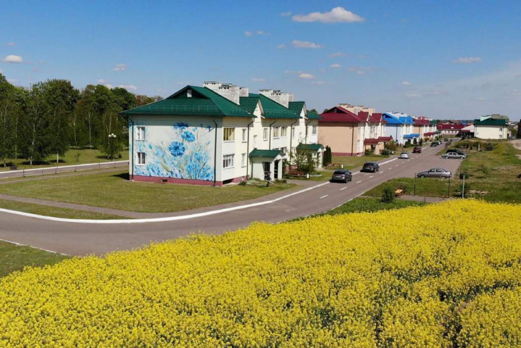 прогресс-вертелишки (1).jpg
