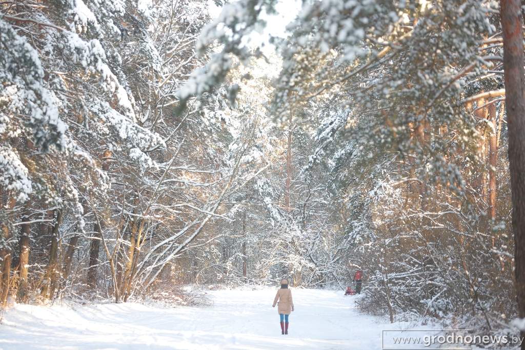 2021-01-17 15.24.59.JPG