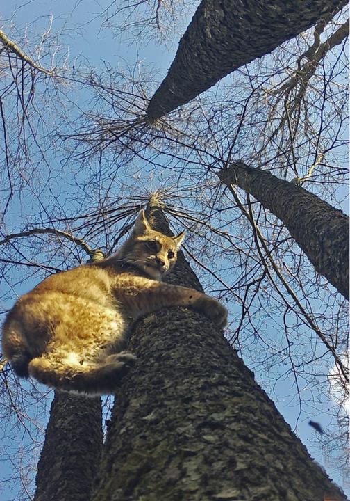 d121dbeedf9d3fb96739bd8bdfe04d84.jpg
