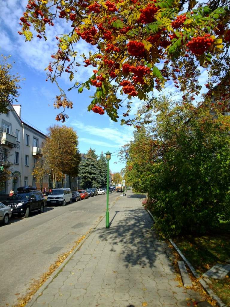 254.jpg
