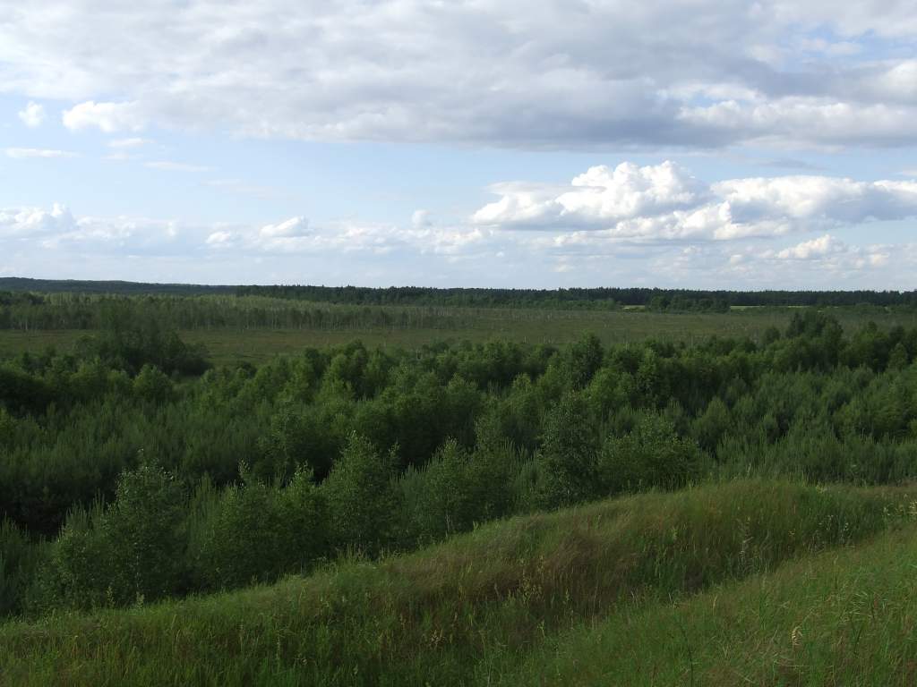 DSCF3138.JPG