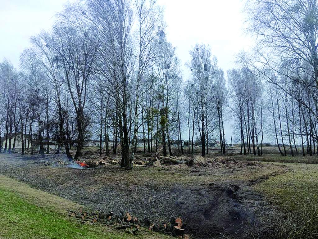 гирки парк1.jpg