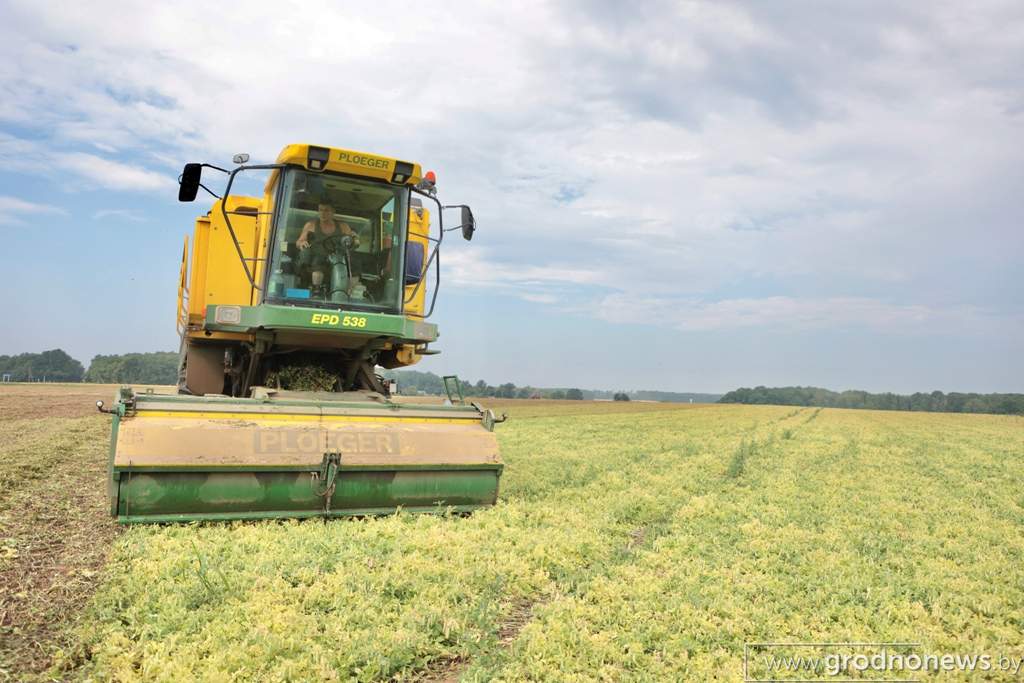 2021-07-13 10.10.15.JPG