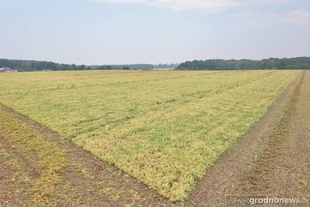 2021-07-13 10.22.28.JPG