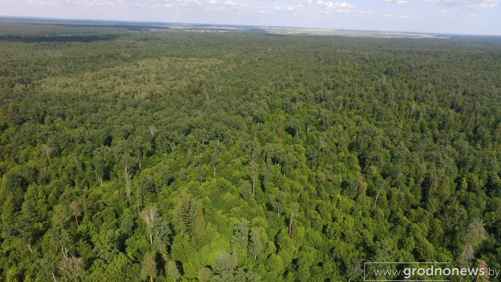 DJI_0080.JPG