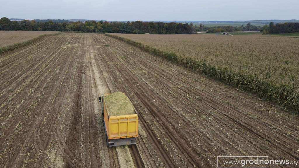 DJI_0592.jpg