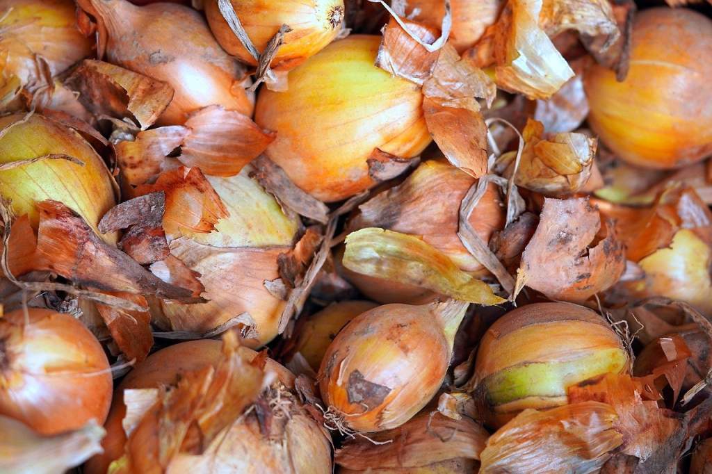 onions-6596243_1280.jpg